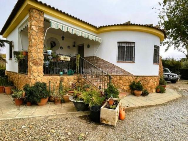 Chalet en venta en Guadix. ¡ESPECTACULAR CHALET A 1KM DE GUADIX. Chalets.