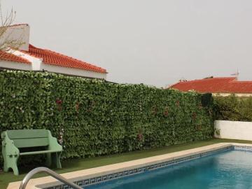 Chalet en venta en El Chaparral, Alicante Costa Blanca
