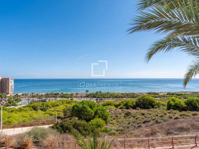 Chalet en venta en Elche / Elx, Alicante