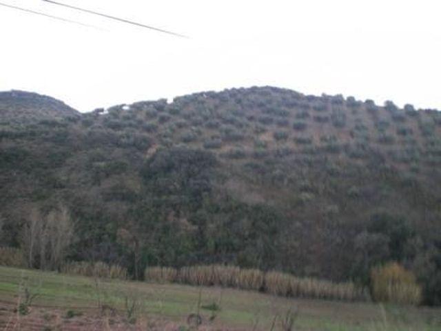 Chalet en venta en Fuensanta de Martos, Jaén