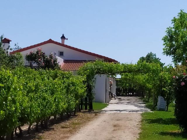 Chalet en venta en Fuente el Saz de Jarama. Construcción año 2002, Casa chalet independiente 474M2, parcela 7.000M2. Chalets Fuente el Saz de.