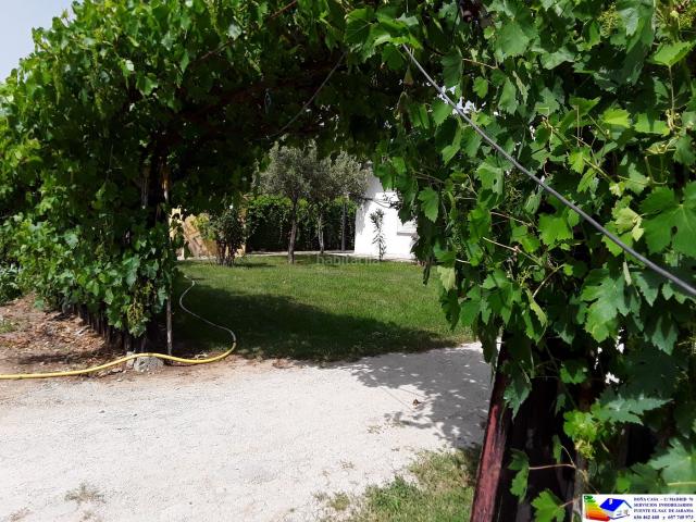 Chalet en venta en Fuente el Saz de Jarama. FINCA DE 7000 M2 CON CASA DE 475 M2. Chalets Fuente el Saz de.