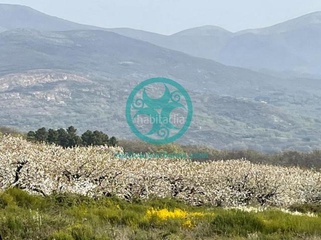Chalet en venta en Jaraíz de la Vera. Chalets Jaraíz de la.