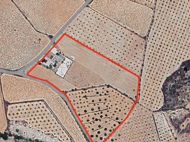 Chalet en venta en El Cantón, Murcia