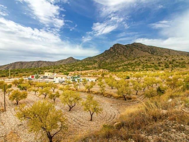 Chalet en venta en Jumilla, Murcia