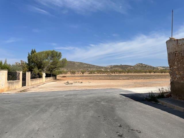 Chalet en venta en Jumilla, Murcia