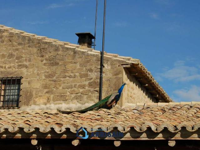 Chalet en venta en La Moraleja, Arroyo de la Vega. FINCA EN SOS DEL REY CATÓLICO. Chalets La.