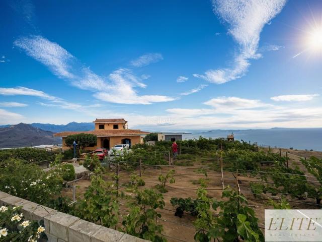 Chalet en venta en Moya. Espectacular Finca con Viñedo y 2700m2 de Terreno en Moya. Chalets.
