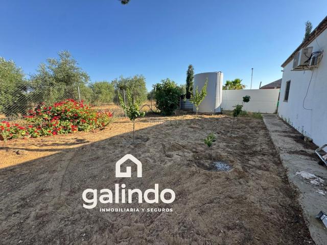 Chalet en venta en Marchena. CHALET BAYONAL MARCHENA. Chalets.