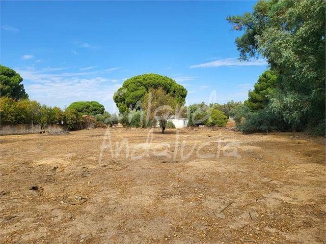 Chalet en venta en Marchena, Sevilla