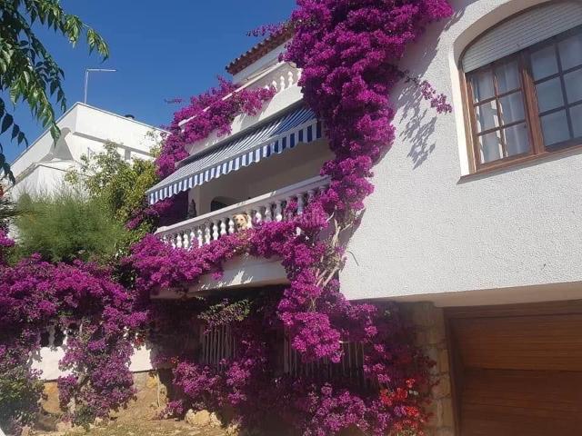 Chalet en venta en Miami Platja, Pino Alto Costa Dorada. Casa o chalet independiente en venta. Chalets Miami.