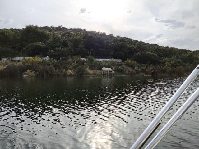 Chalet en venta en Navalvillar de Pela, Badajoz
