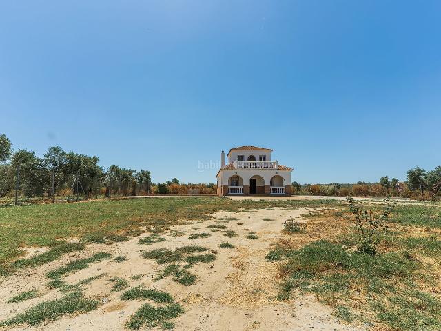 Chalet en venta en Niebla. ¡Oportunidad Única en Niebla!. Chalets.