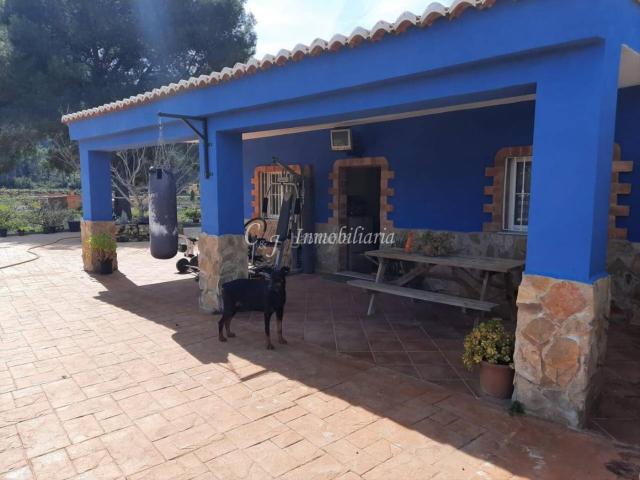 Chalet en venta en Sagunt, Doctor Palos Alto Palancia. CHALET INDEPENDIENTE CON 3.800 M DE PARCELA, PISCINA Y HUERTO DE NARANJOS EN PRODUCCIÓN. Chalets.