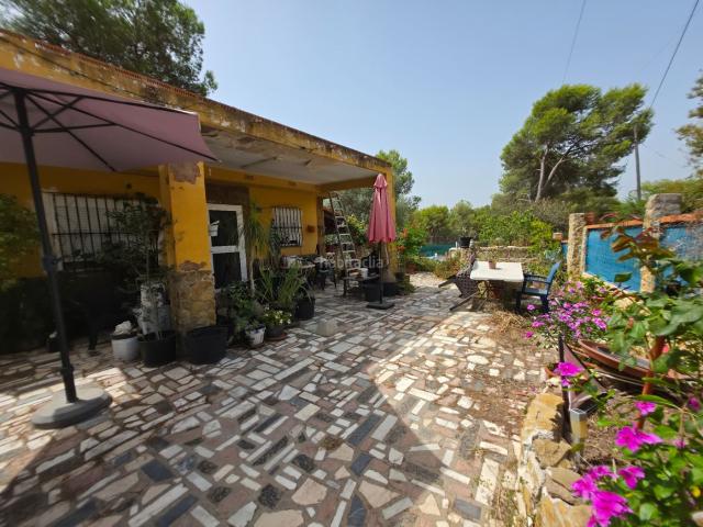 Chalet en venta en Sagunt, Doctor Palos Alto Palancia. ¡Una oportunidad única en la Montaña de Sagunto! Dos viviendas, tres parcelas y más de 2.200 m² de terreno. Chalets.