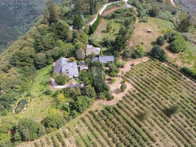 Chalet en venta en Pontenova A. CASA CON GRAN TERRENO Y NEGOCIO TURÍTICO EN ASTURIAS. Chalets Pontenova.