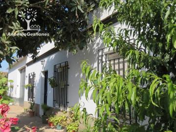 Chalet en venta en Palma del Río. Vivienda con terreno dentro de Palma del Rio. Chalets Palma del.