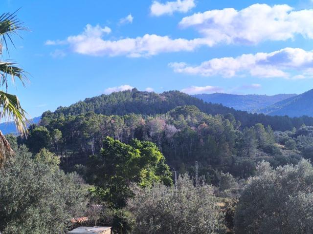 Chalet en venta en Parcent. Chalets.