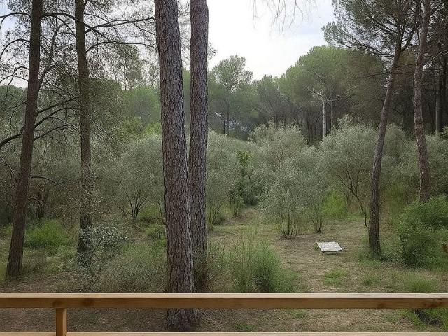 Chalet en venta en calle Puig Rodó, Rupià, de 30 m² 1 habitación por 129.000