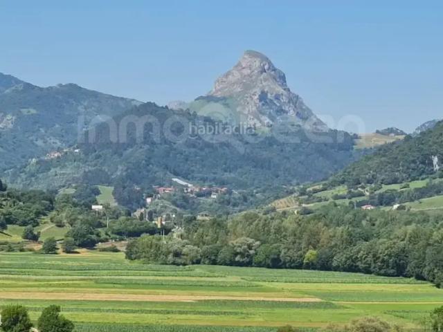 Chalet en venta en Peñamellera Alta. Venta de Chalet Individual en Peñamellera Alta REES40654. Chalets Peñamellera.
