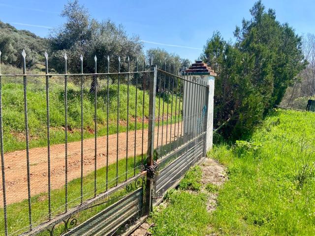Chalet en venta en Piedrabuena. Chalets.