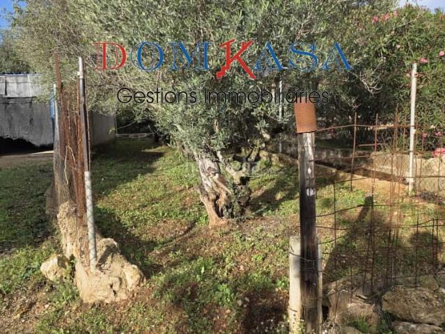 Chalet en venta en Roquetes Costa Dorada. Finca con casa en venta en Galatxo. Chalets.