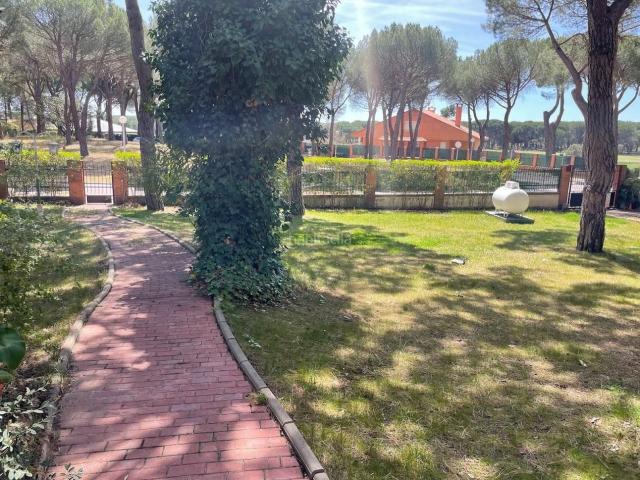 Chalet en venta en Tordesillas. CHALET EN EL MONTICO. Chalets.