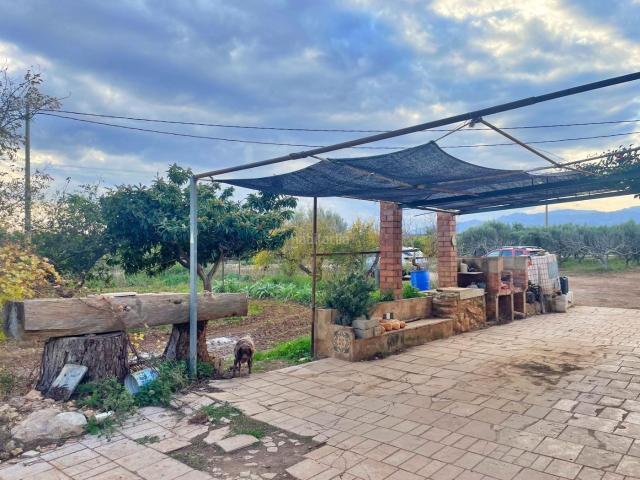 Chalet en venta en Tortosa, Vinallop Costa Dorada. Chalet en Vinallop y plantación de olivos y mandarines en producción. Chalets.