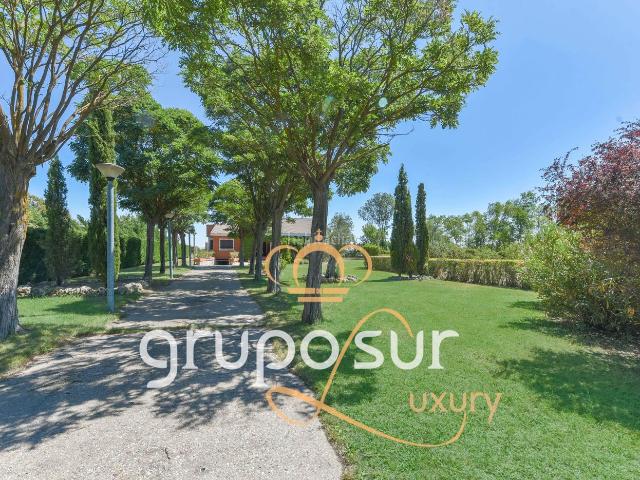 Chalet en venta en Trigueros del Valle. Bonito chalet independiente en parcela de 5.000 m² en La urbanización La Vega, de Trigueros del Valle. Chalets Trigueros del.