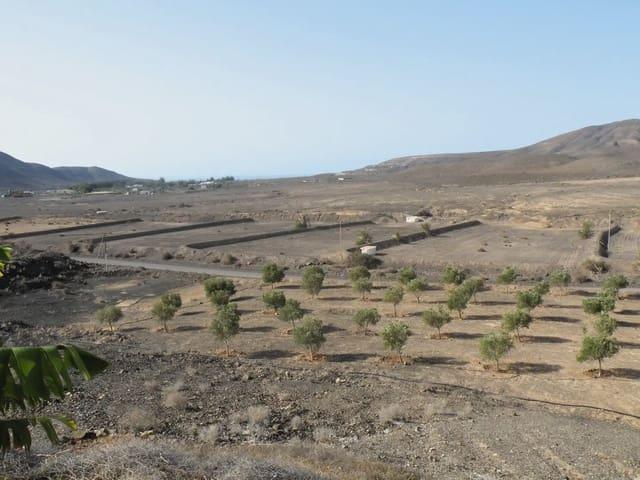 Chalet en venta en Tuineje, Fuerteventura