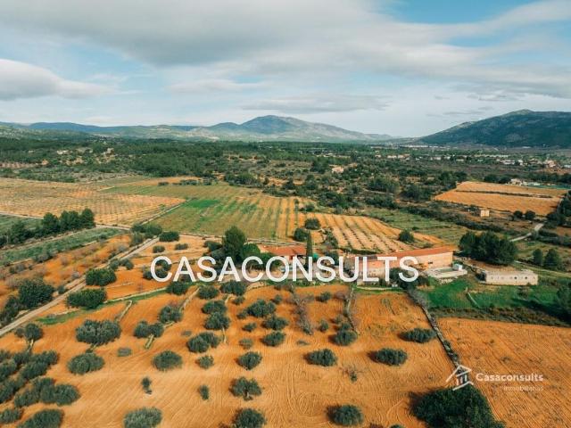 Chalet en venta en Useras Castellón