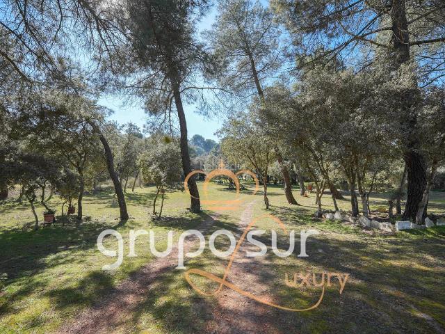 Chalet en venta en Valladolid, Puente Duero. Precioso chalet independiente rodeado de naturaleza en Puente Duero, a 9 km del centro de Valladolid por autovía. Chalets.