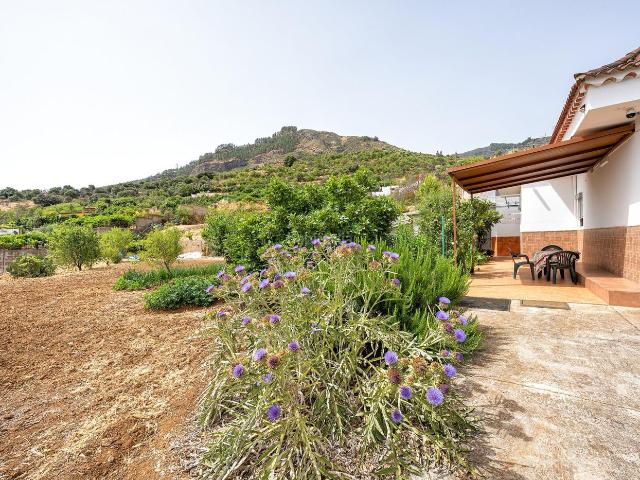 Chalet en venta en Valsequillo de Gran Canaria. Chalet independiente con terreno rodeada de naturaleza y con absoluta privacidad. Chalets Valsequillo de Gran.