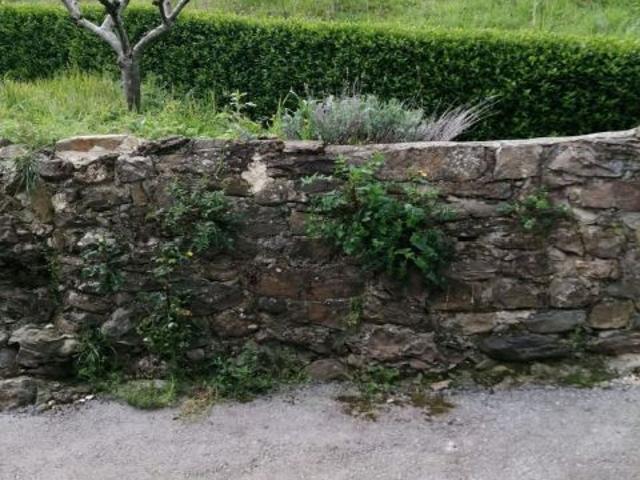 Chalet en Venta en Vega de Liebana, Cantabria