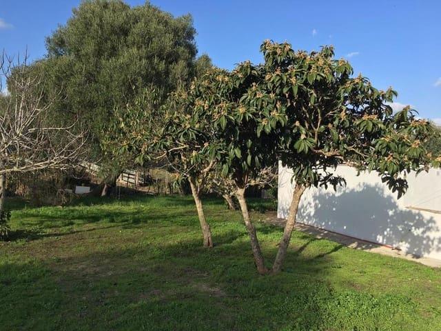 Finca/Casa Rural en venta en Vejer de la Frontera, Cádiz Costa de la Luz