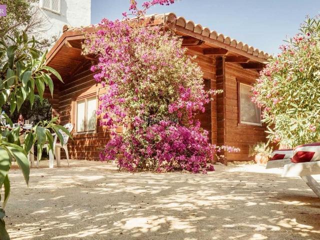 Chalet en venta en Vejer de la Frontera, El Palmar. FINCA RUSTICA con dos CASAS 2.500 m2 EN EL PALMAR. Chalets Vejer de la.