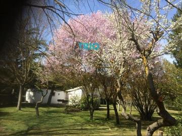 Chalet en venta en Villariezo, Burgos