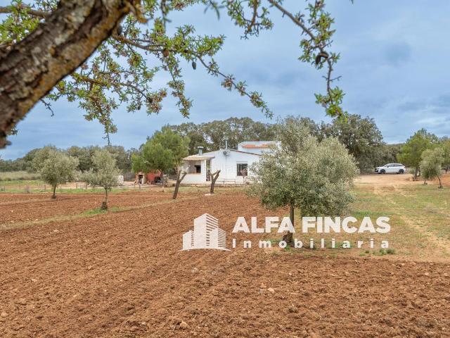 Chalet en venta en Villarrobledo. CASA DE CAMPO EN VENTA EN VILLARROBLEDO. Chalets.