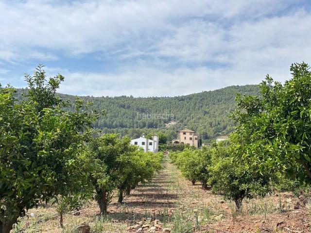 Chalet en venta en Xaló. Un oasis mediterráneo de privacidad y naturaleza en el corazón del Valle de Jalón. Chalets.