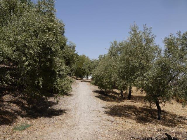 Chalet en venta en Zahara de la Sierra, Cádiz