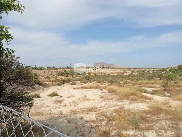 CHALET EN VENTA – LA CAÑADA DEL FENOLLAR, LA ALCORAYA