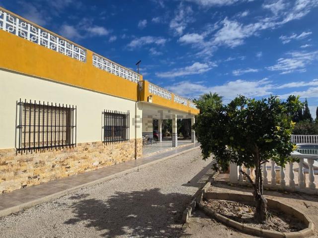 Chalet, Elche / Elx
