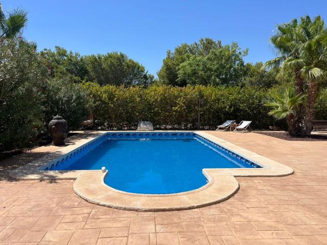 Chalet, Elche / Elx
