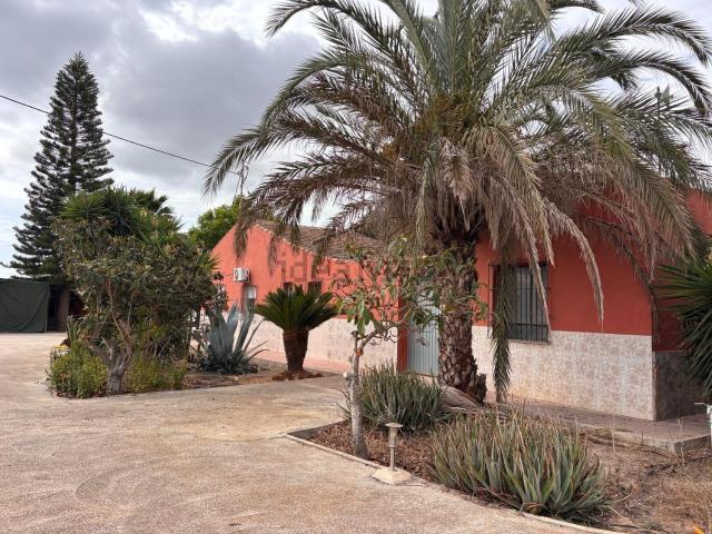 Chalet, Elche / Elx