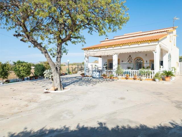 Chalet, Elche / Elx