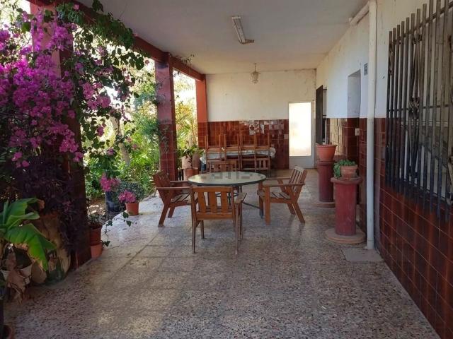 Chalet, Elche / Elx