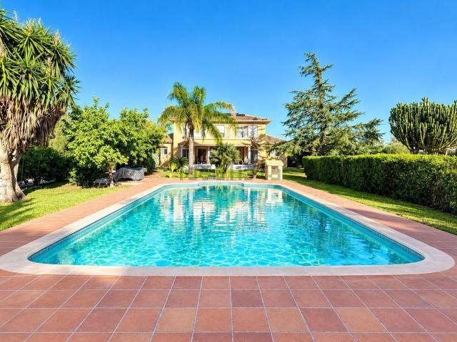Chalet, Elche / Elx