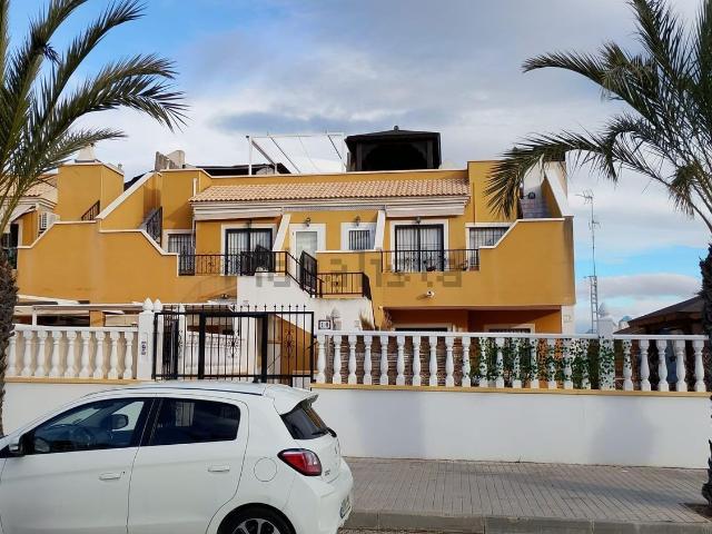 Chalet, Elche / Elx