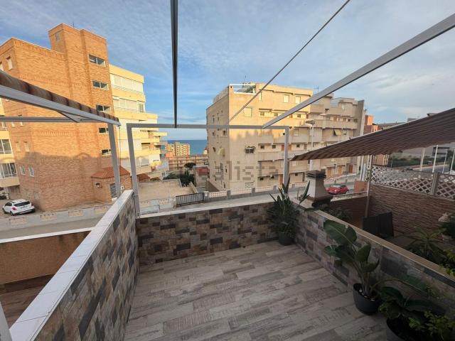 Chalet, Elche / Elx
