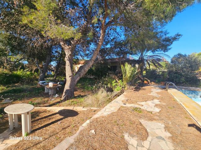 Chalet, Elche / Elx